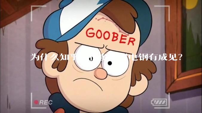为什么知乎上很多人对电钢有成见？