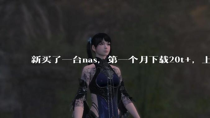 新买了一台nas，第一个月下载20t+，上传5+，不会被网警盯上吧?