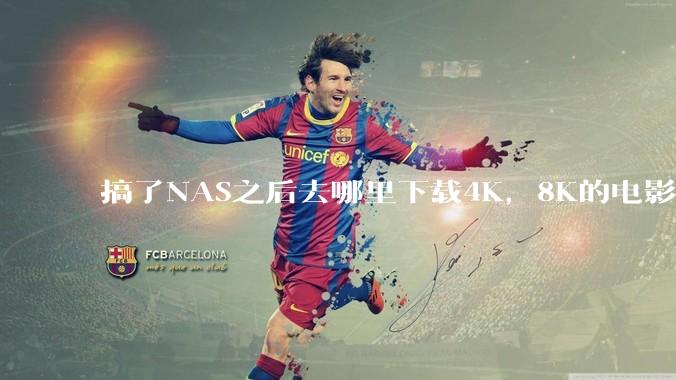 搞了NAS之后去哪里下载4K，8K的电影？