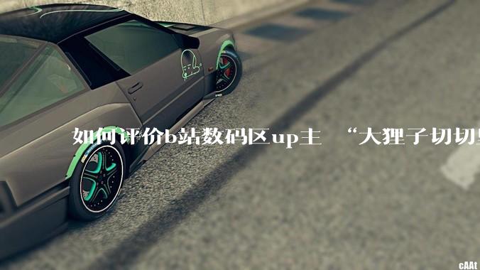 如何评价b站数码区up主 “大狸子切切里”?