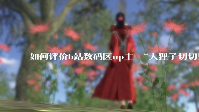 如何评价b站数码区up主 “大狸子切切里”?