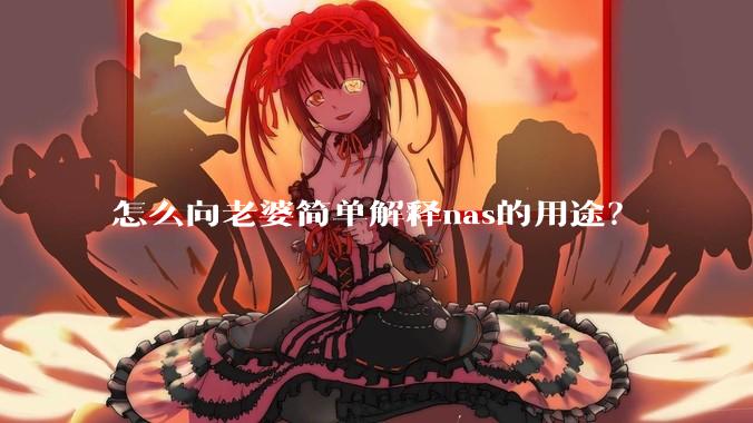 怎么向老婆简单解释nas的用途？