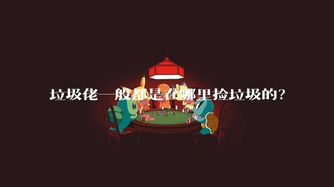 垃圾佬一般都是在哪里捡垃圾的？