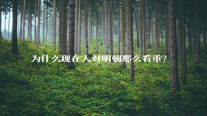 为什么现在人对明朝那么看重？