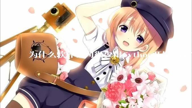 为什么软件公司很少用python开发web?