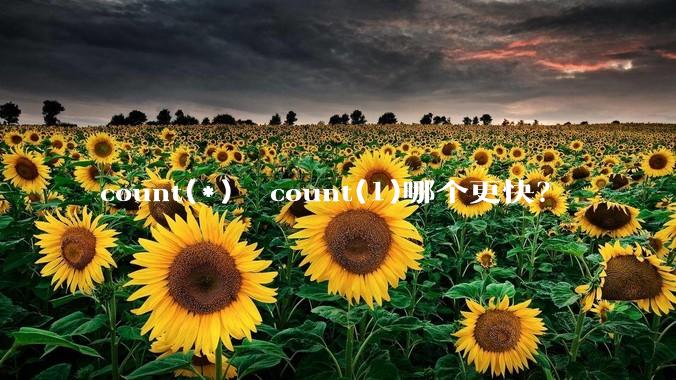 count(*)  count(1)哪个更快？