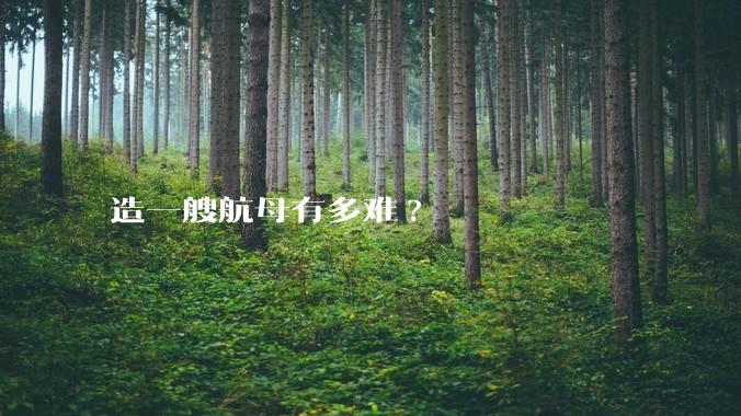 造一艘航母有多难?