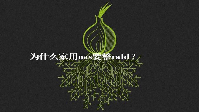 为什么家用nas要整raid?