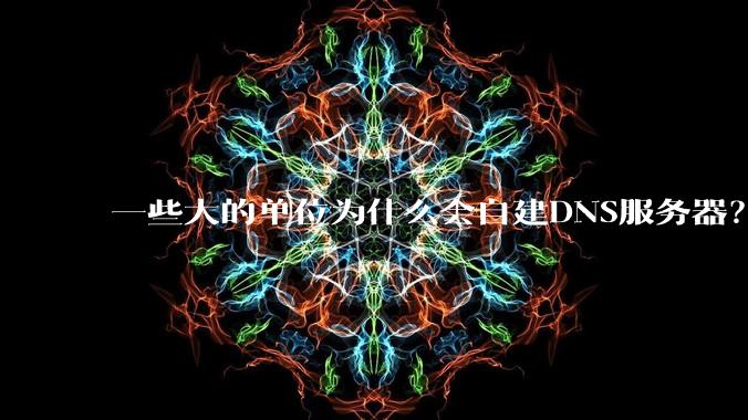 一些大的单位为什么会自建DNS服务器？