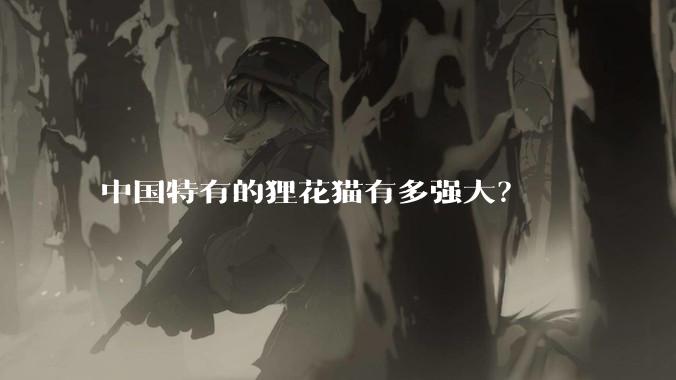 中国特有的狸花猫有多强大？