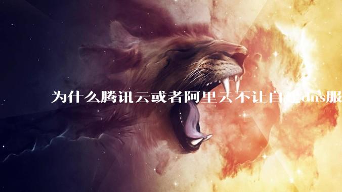 为什么腾讯云或者阿里云不让自建dns服务器?