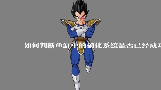 如何判断鱼缸中的硝化系统是否已经成功建立？