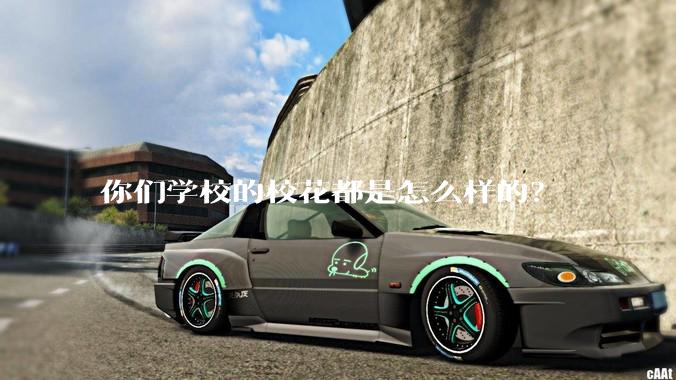 你们学校的校花都是怎么样的？