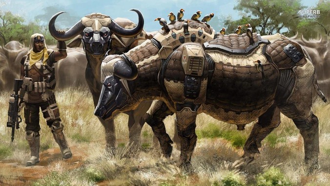 未来长期租房生活可行吗？